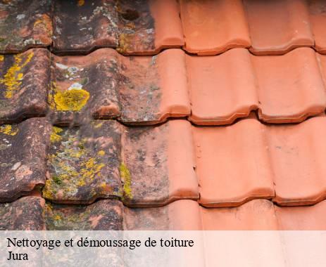 nettoyage-et-demoussage-de-toiture