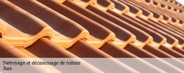 nettoyage-et-demoussage-de-toiture