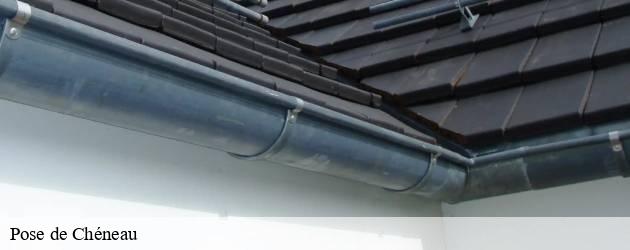 pose-de-cheneau